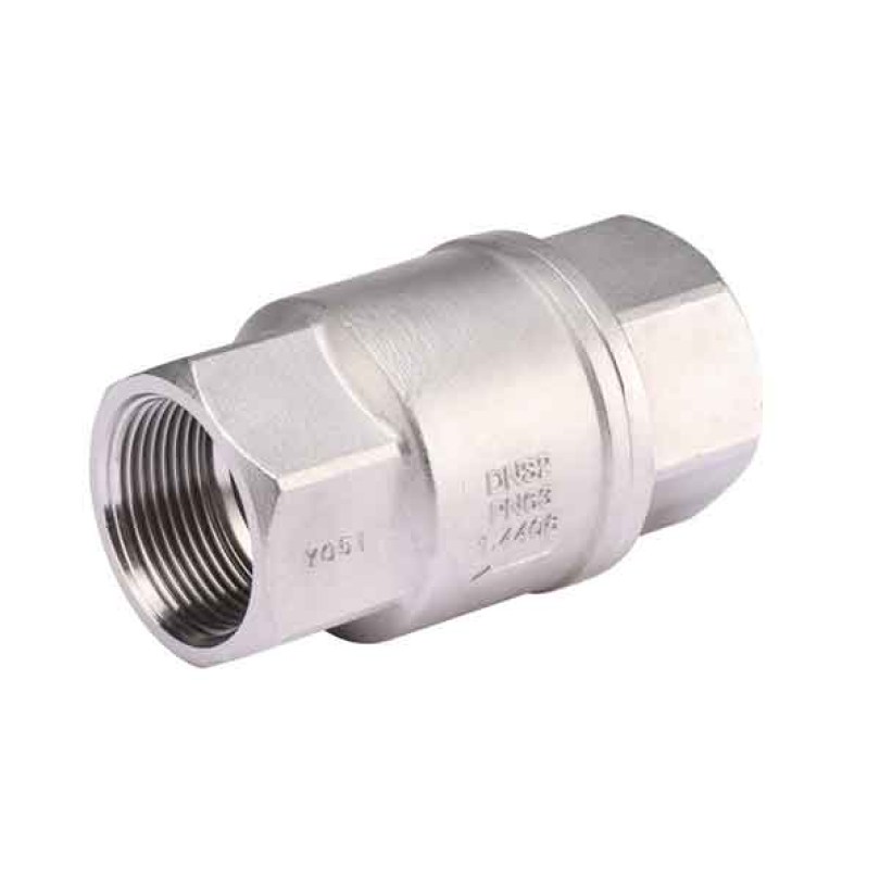 Clapeta de sens cu arc din otel inoxidabil si scaun RTFE cu filet BSP